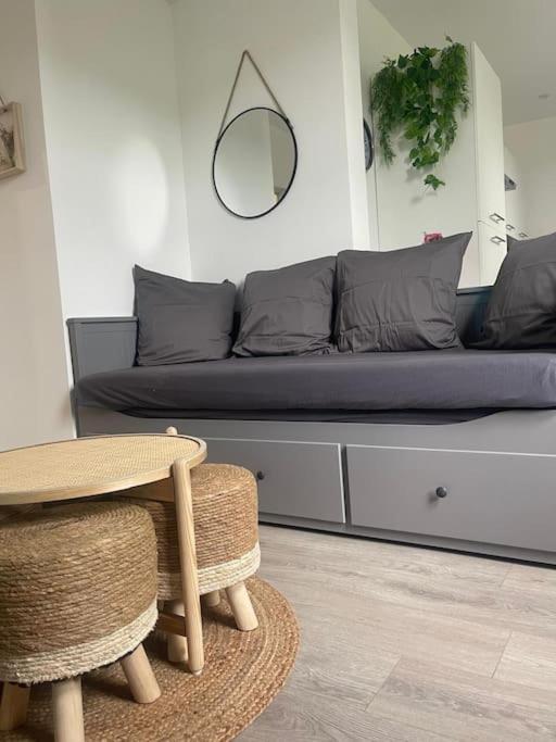 F4 Elegant - Cosy Straatsburg